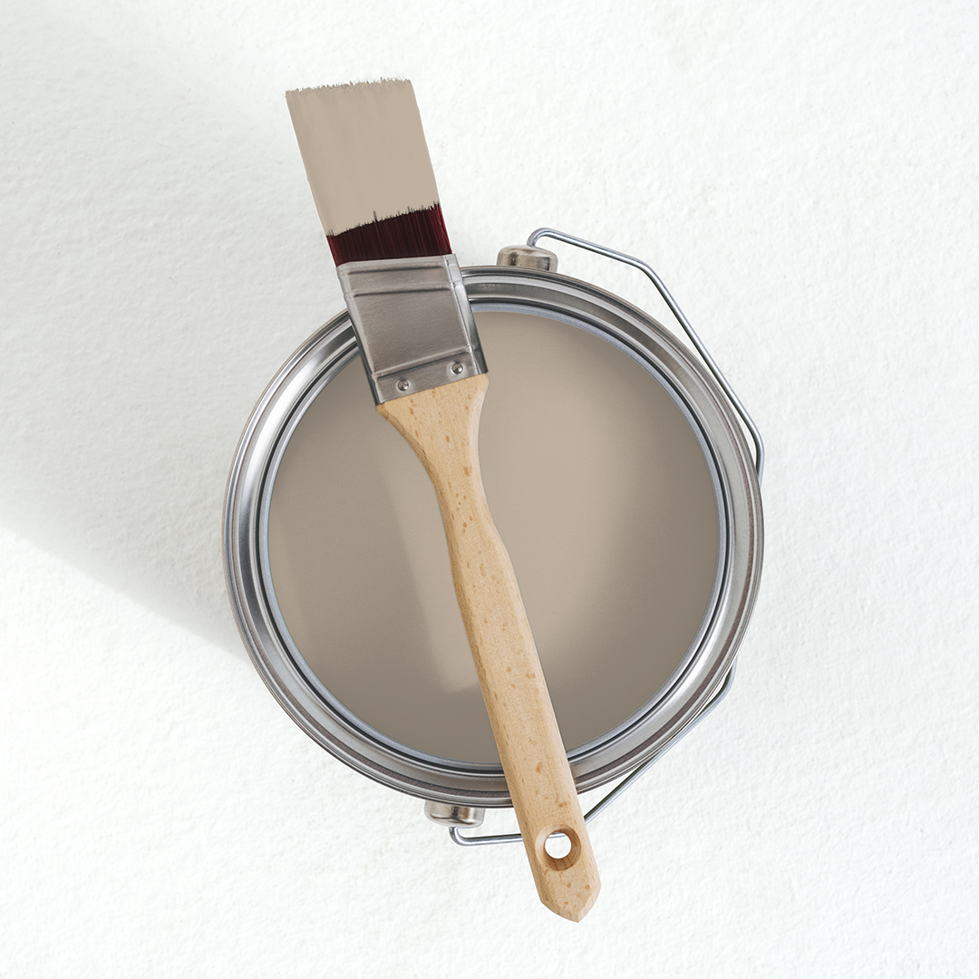 Matt Cream Paint | Cream / Shade 3 | V and Co | V&CO