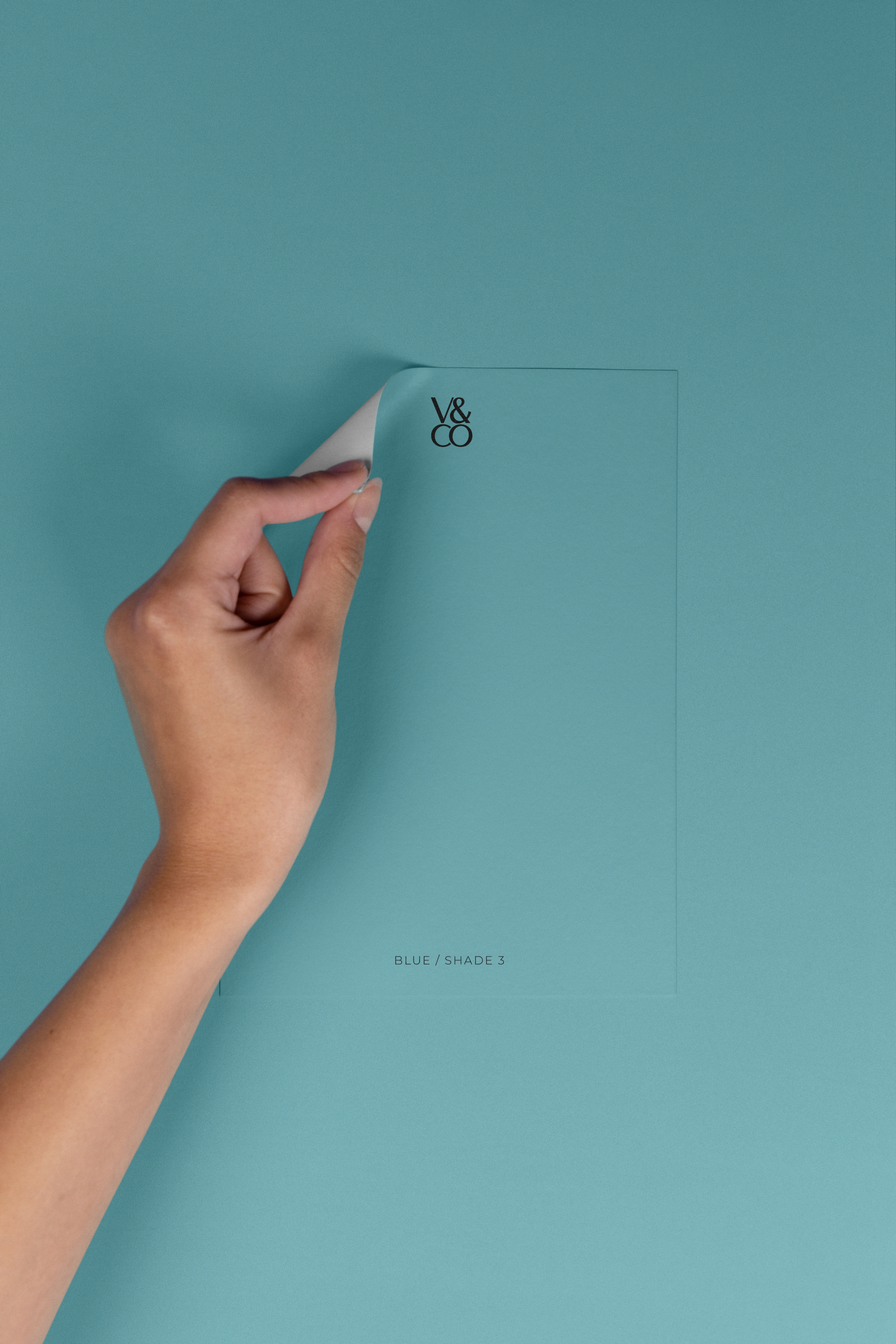 Peel & Stick Colour Samples